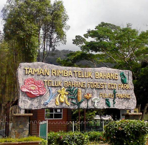 Taman Rimba Teluk Bahang