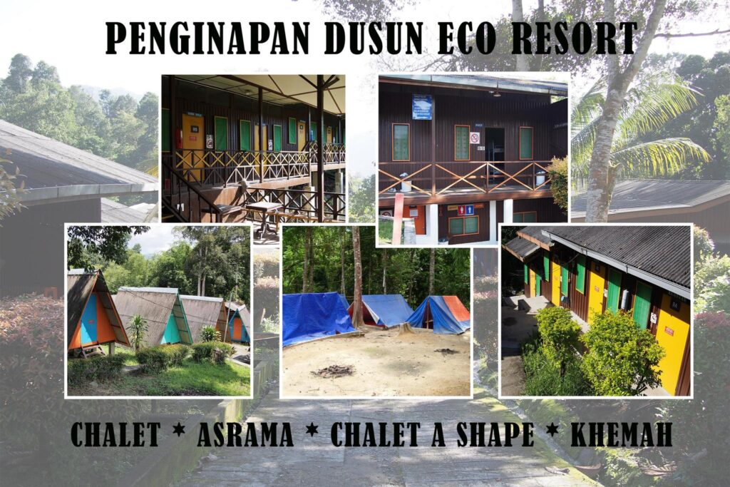 Dusun Eco 23