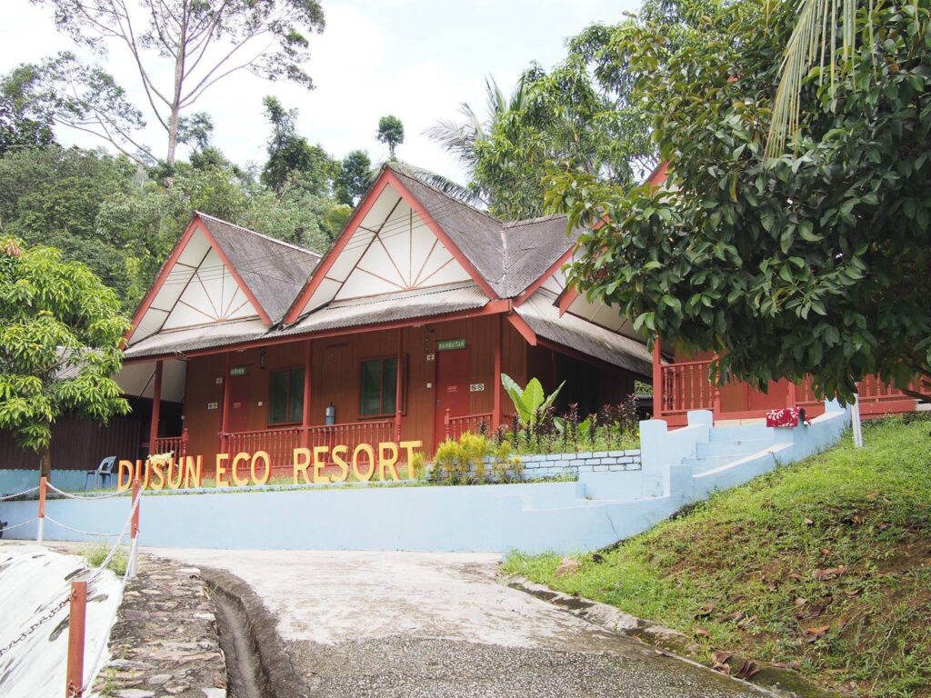 Dusun Eco 25