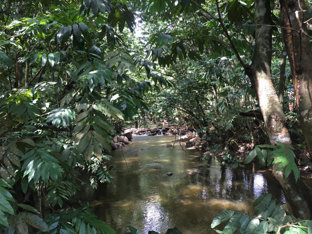 Hutlista De Sungai Tua