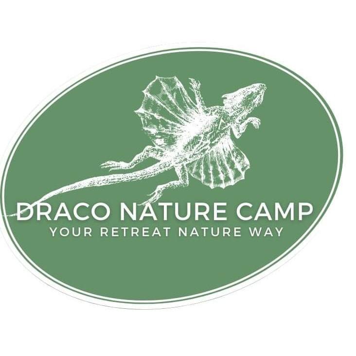 Draco 01