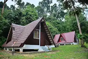 Taman Eko-Rimba Bukit Batu Lebah